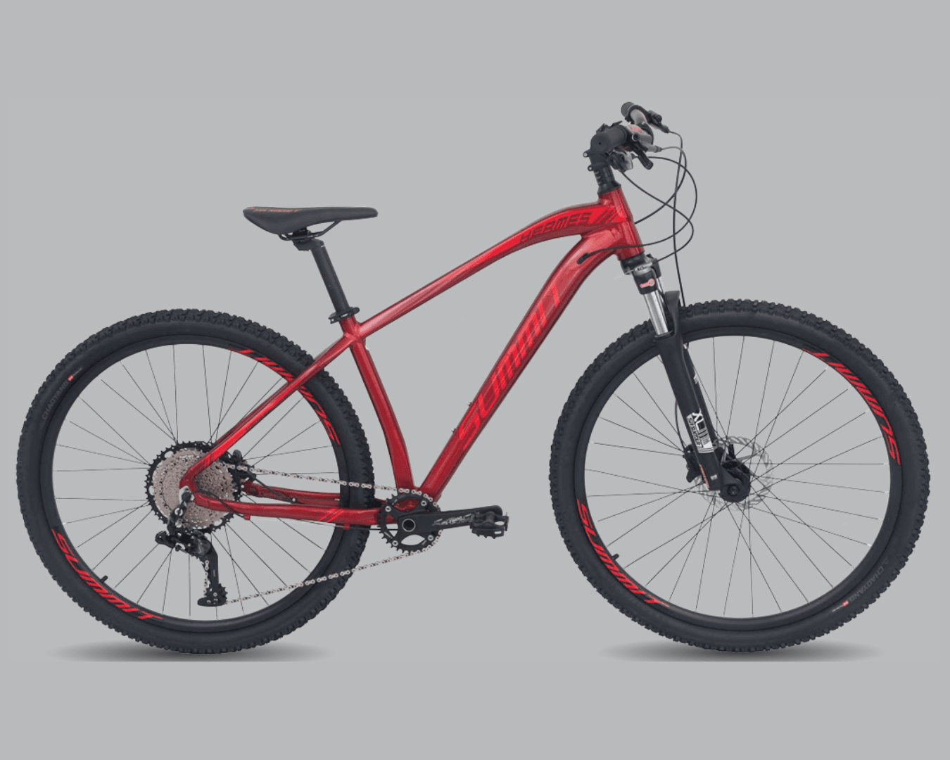 BICICLETA SUMMIT 29 HERMES TINTO